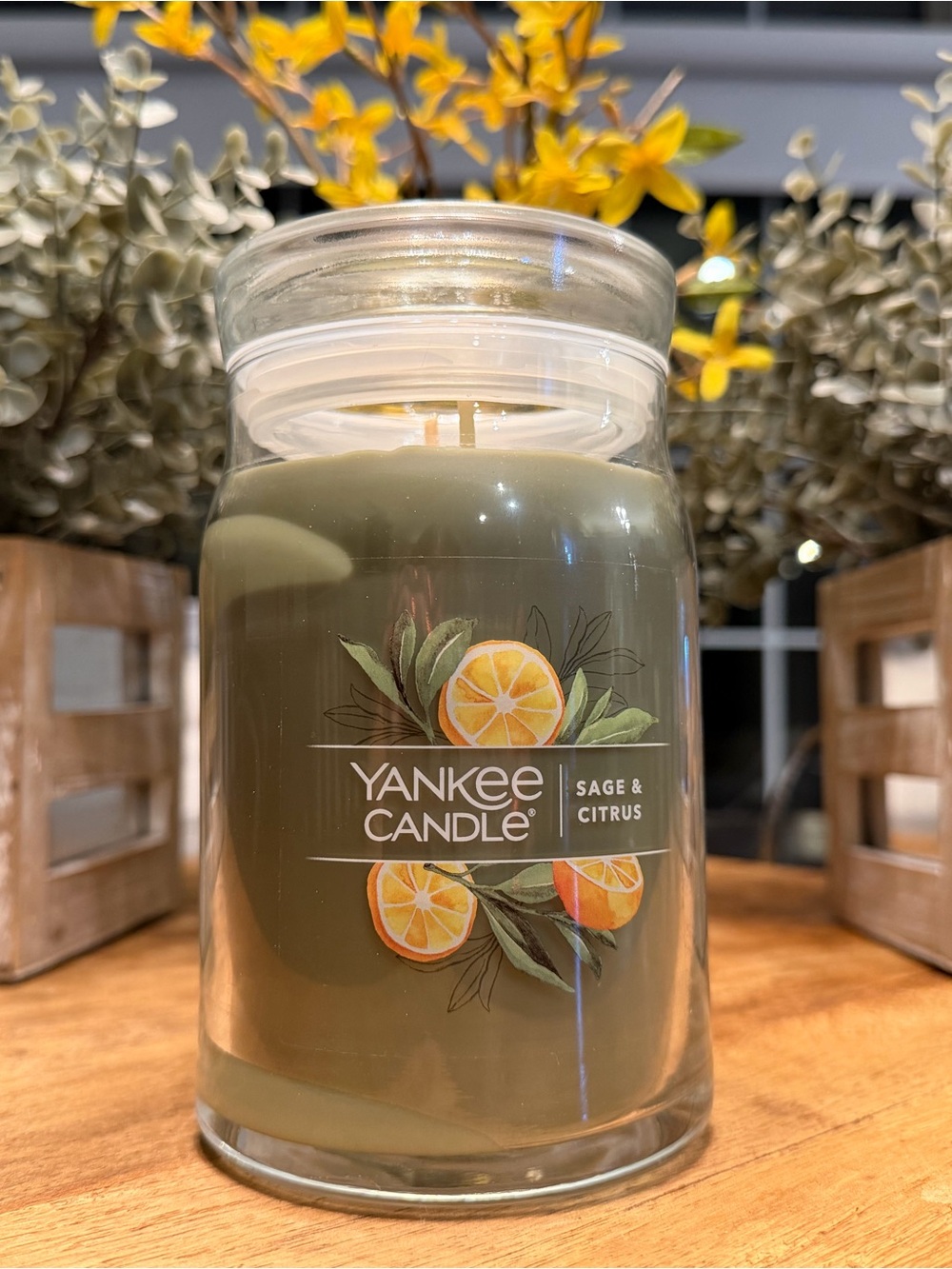 Yankee Candle Sage & Citrus Jar Candle - 20 oz